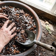 Chunky Aroid Soil Mix