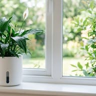 Self-Watering Pots